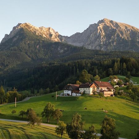 Singerskogel - Ferienhof Und Jausnstub'N Spital Am Pyhrn Dış mekan fotoğraf