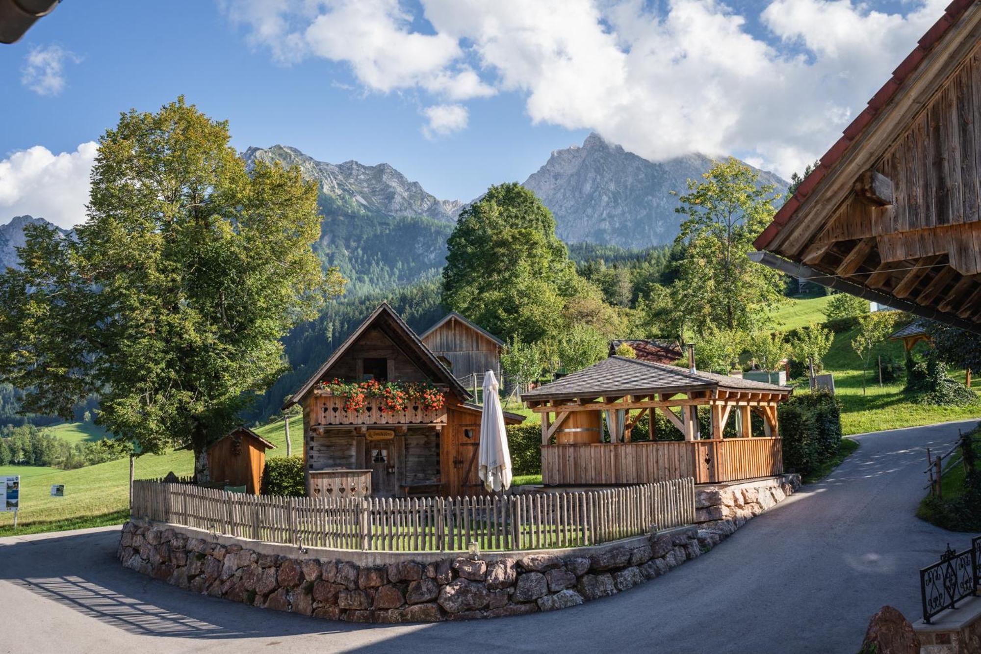 Singerskogel - Ferienhof Und Jausnstub'N Spital Am Pyhrn Dış mekan fotoğraf