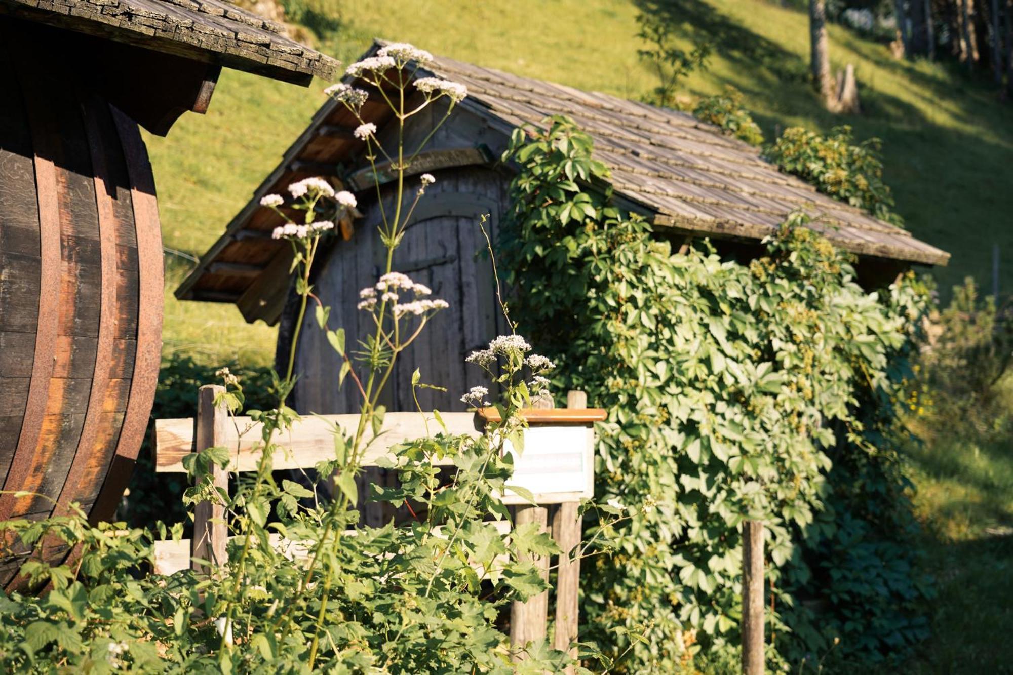 Singerskogel - Ferienhof Und Jausnstub'N Spital Am Pyhrn Dış mekan fotoğraf