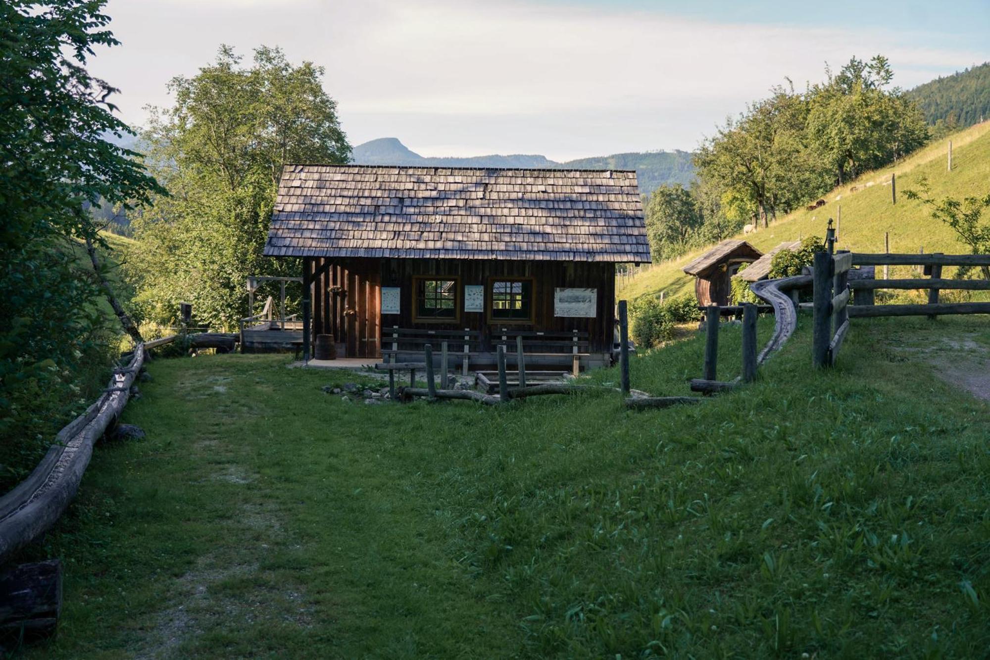 Singerskogel - Ferienhof Und Jausnstub'N Spital Am Pyhrn Dış mekan fotoğraf