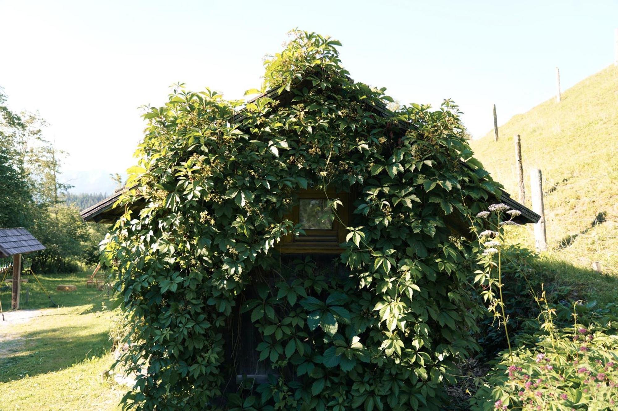 Singerskogel - Ferienhof Und Jausnstub'N Spital Am Pyhrn Dış mekan fotoğraf