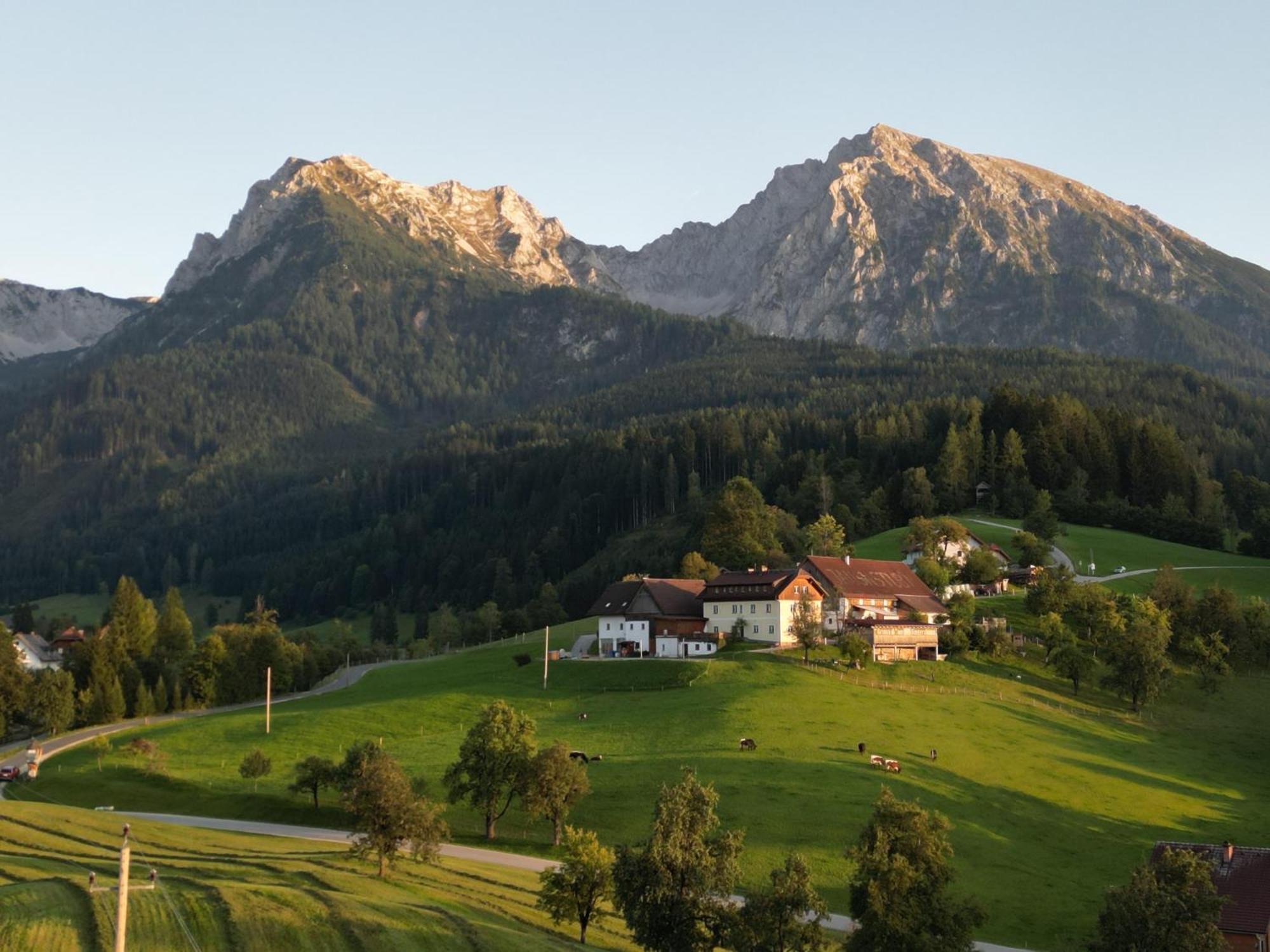 Singerskogel - Ferienhof Und Jausnstub'N Spital Am Pyhrn Dış mekan fotoğraf