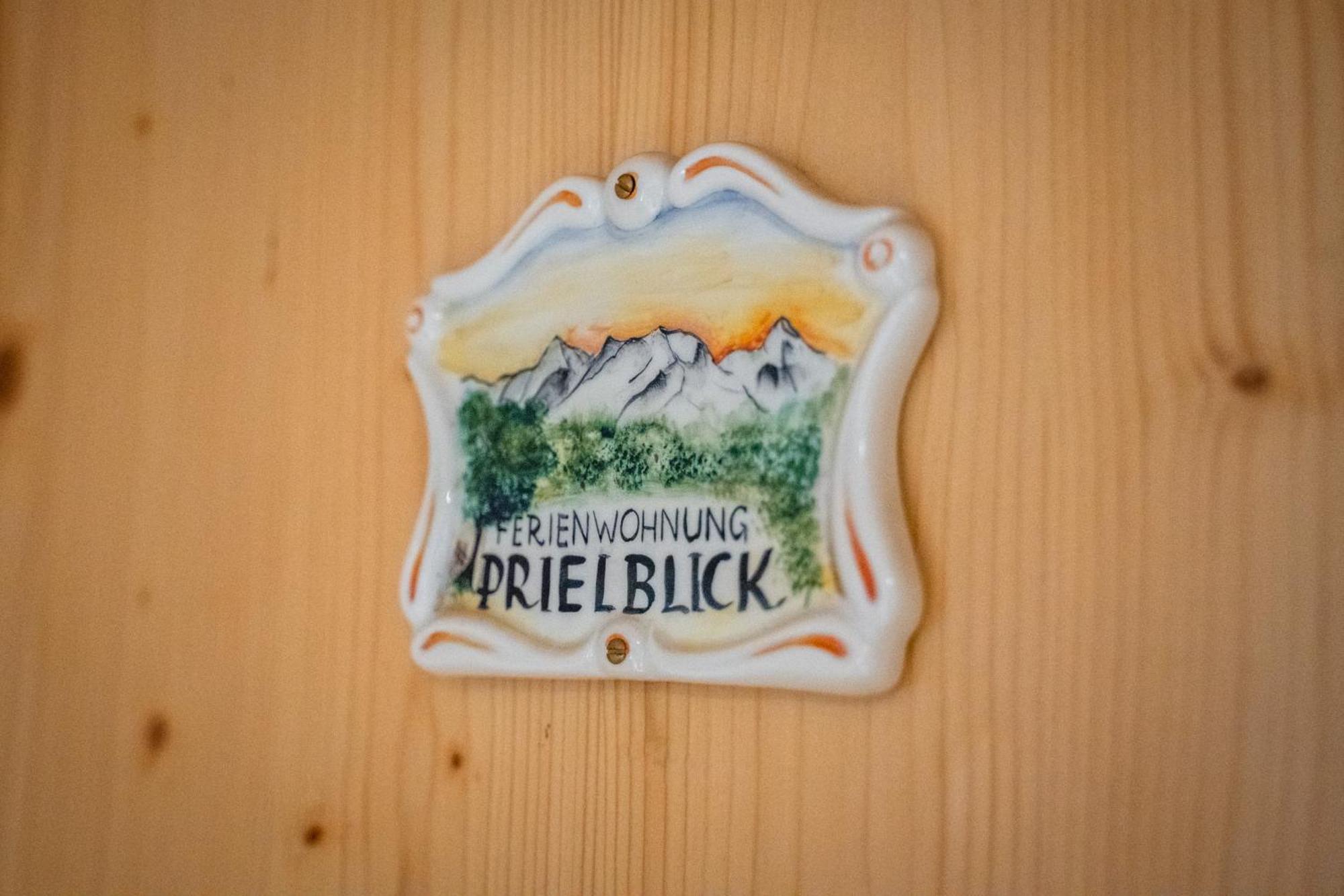 Singerskogel - Ferienhof Und Jausnstub'N Spital Am Pyhrn Dış mekan fotoğraf