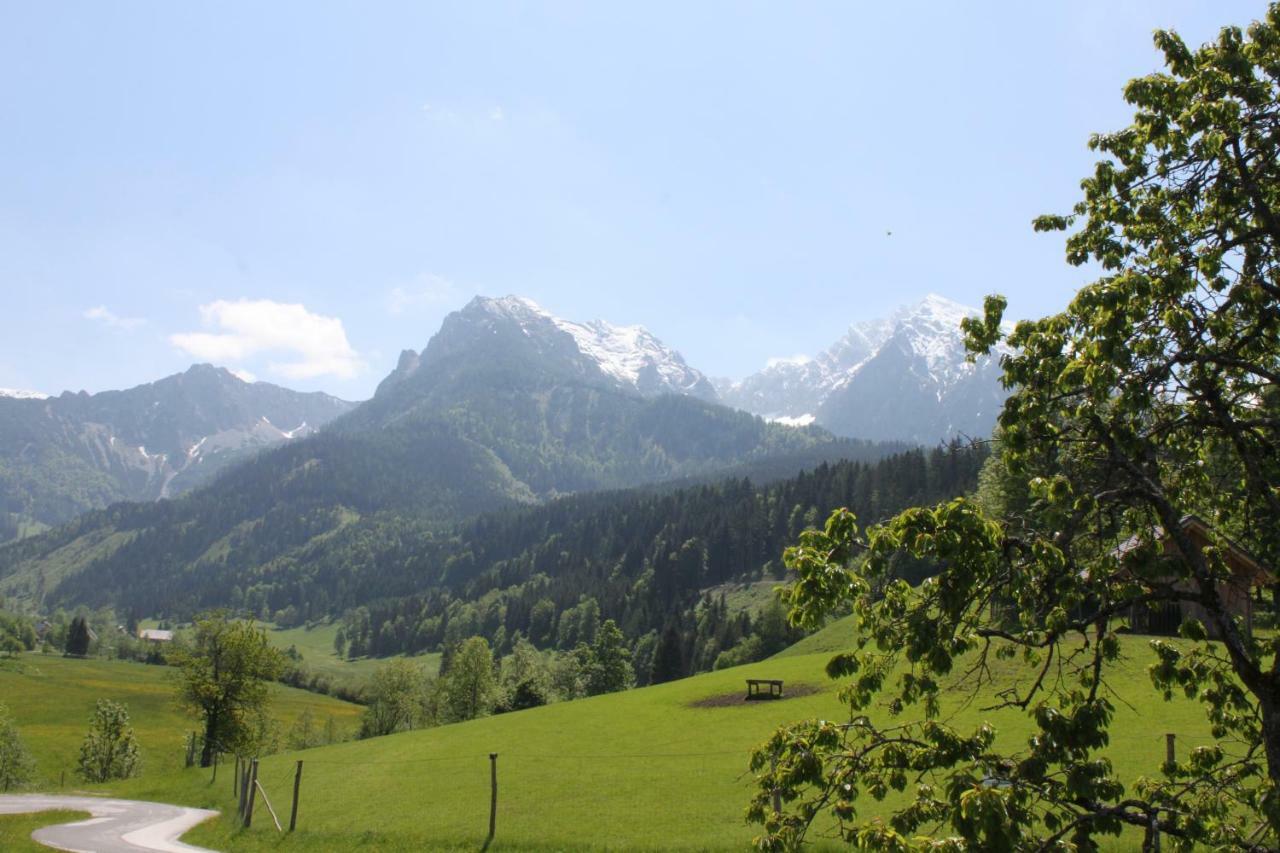Singerskogel - Ferienhof Und Jausnstub'N Spital Am Pyhrn Dış mekan fotoğraf